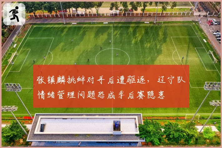张镇麟挑衅对手后遭驱逐,辽宁队情绪管理问题恐成季后赛隐患