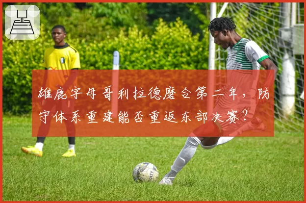 雄鹿字母哥利拉德磨合第二年，防守体系重建能否重返东部决赛？