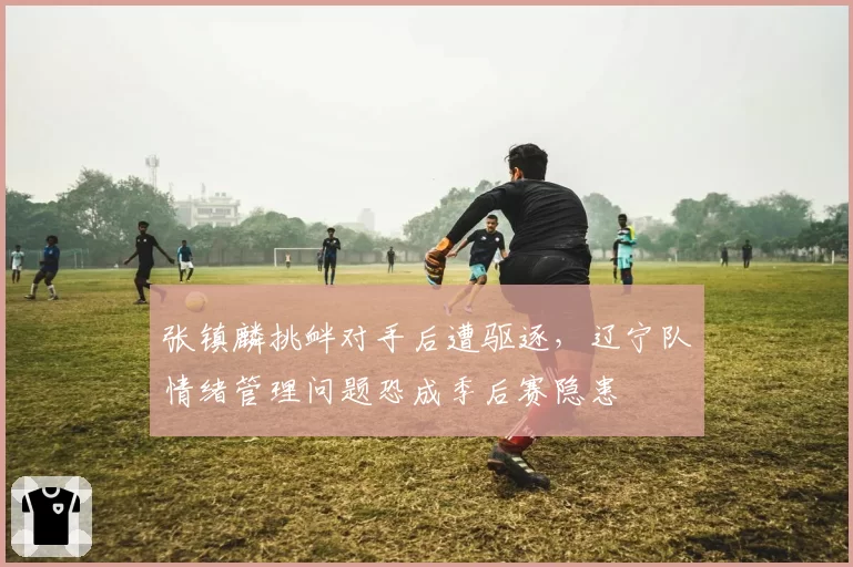 张镇麟挑衅对手后遭驱逐，辽宁队情绪管理问题恐成季后赛隐患