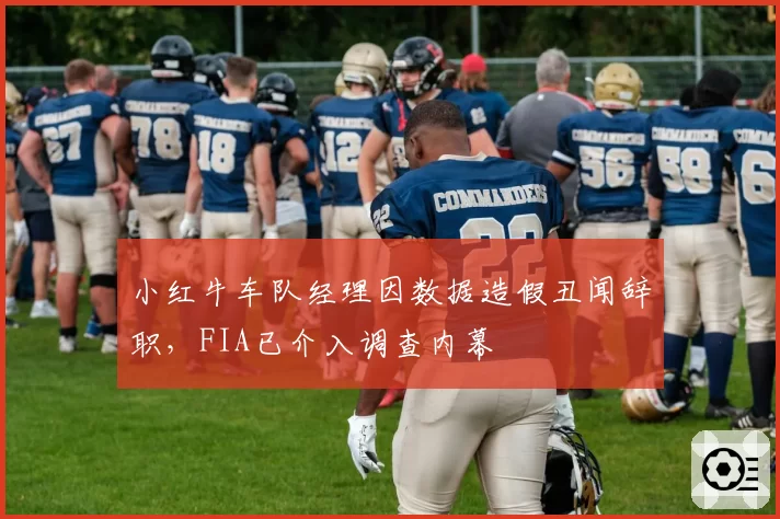小红牛车队经理因数据造假丑闻辞职,FIA已介入调查内幕