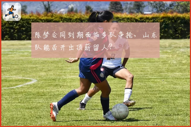 陈梦合同到期面临多队争抢，山东队能否开出顶薪留人？